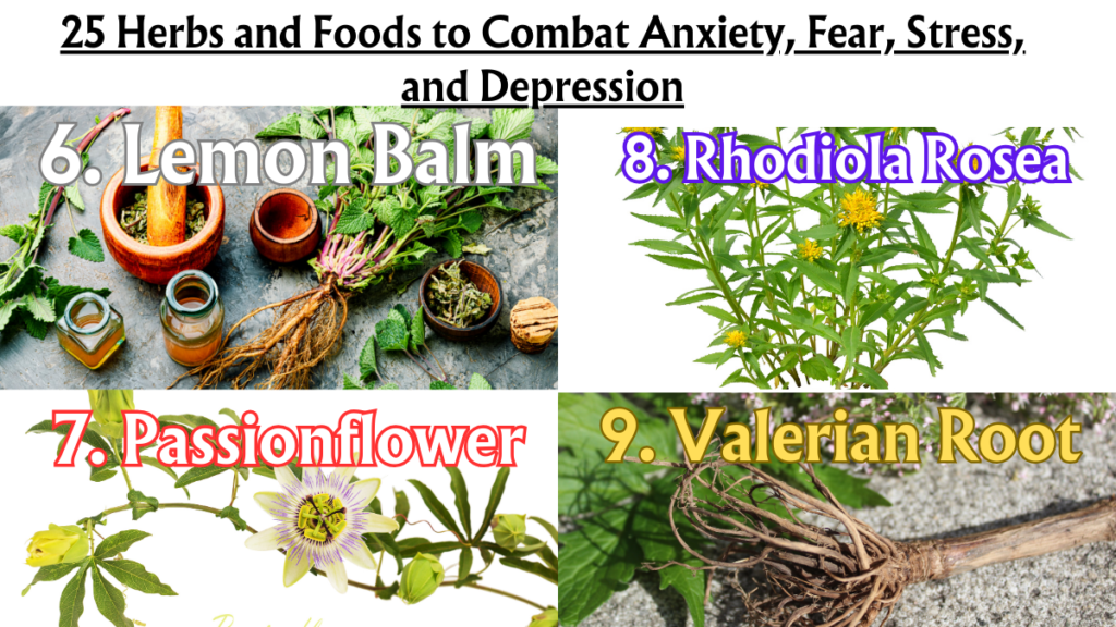 25 Herbs and Foods to Combat Anxiety, Fear, Stress, and Depression