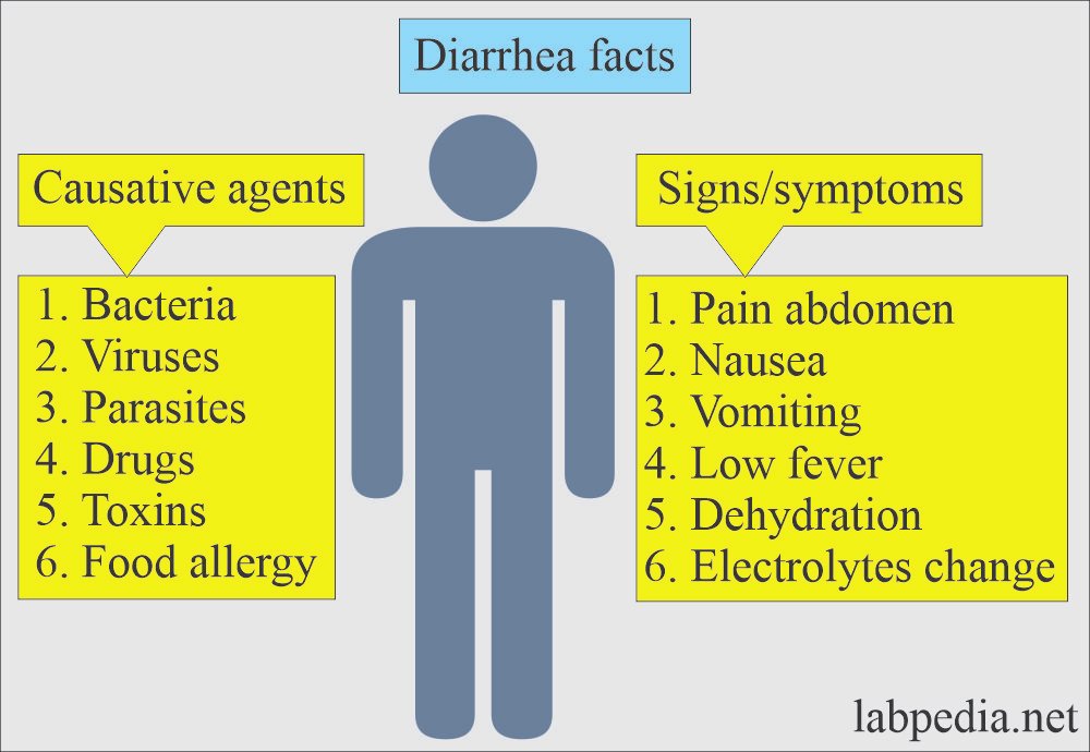 Diarrhea facts