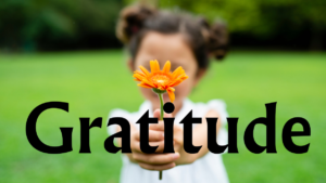 Read more about the article 6 Discover the transformative power of Gratitude Explored: A Comprehensive Guide, Understanding Gratitude: Beyond Thankfulness,  The Benefits of Practicing Gratitude