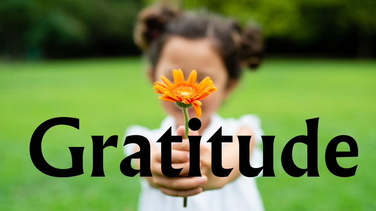 Gratitude Explored: A Comprehensive Guide