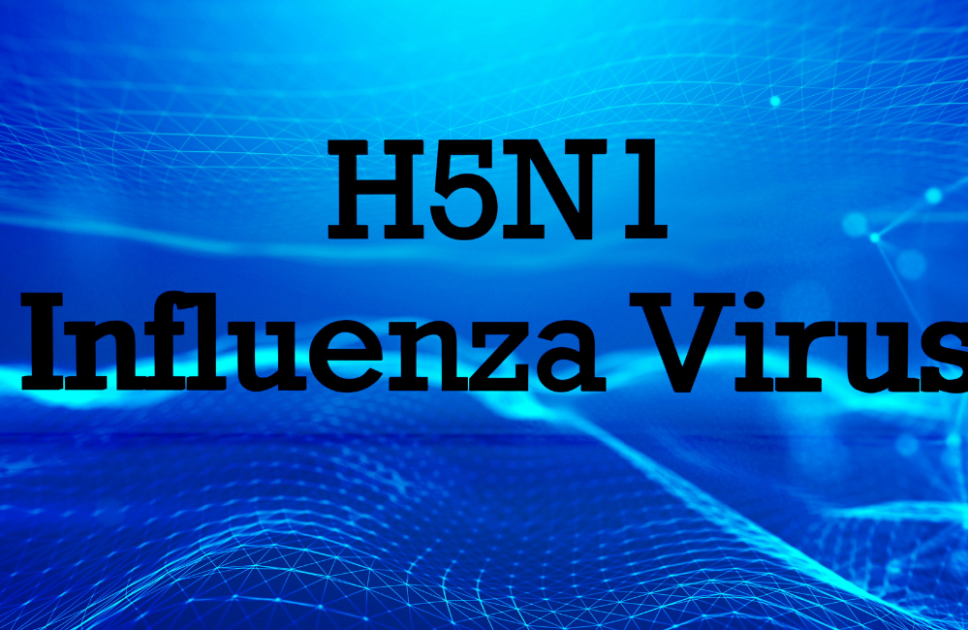 Types of H1N1 Viruses: Unraveling the Influenza A Variants