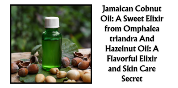 Jamaican Cobnut Oil: A Sweet Elixir from Omphalea triandra And Hazelnut Oil: A Flavorful Elixir and Skin Care Secret