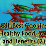 Krill Oil: Best Cooking Oils for Healthy Food, Source, and Benefits (Part 2)