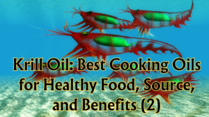 Read more about the article Krill Oil: Best Cooking Oils for Healthy Food, Source, and Benefits (Part 2)