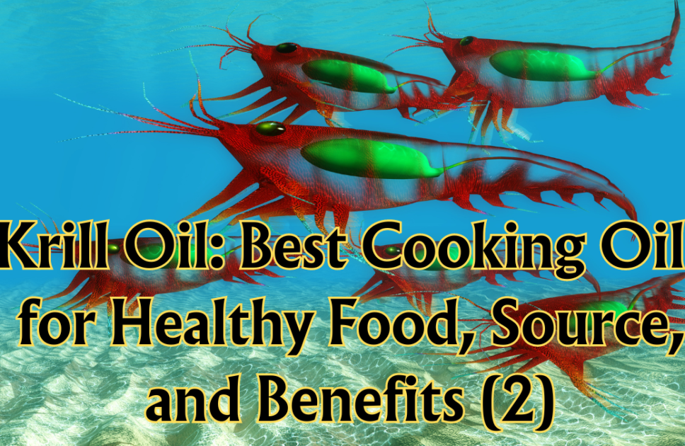 Krill Oil: Best Cooking Oils for Healthy Food, Source, and Benefits (Part 2)