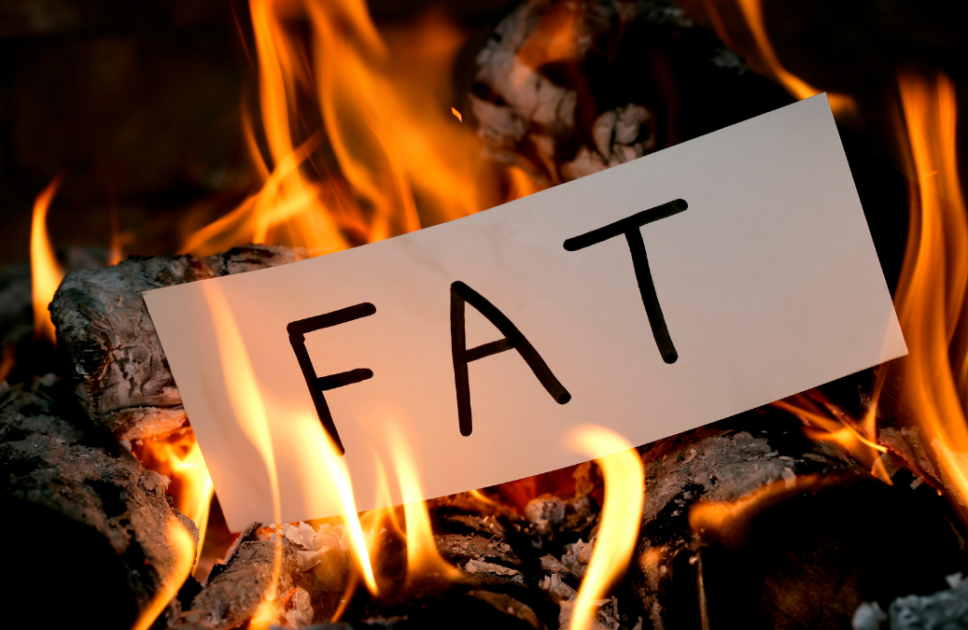 Proper Nutritional Diet, Fat: A Comprehensive Guide to Sources and Health Benefits (Part 10/15)