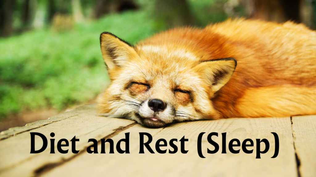  Proper Nutritional Diet and Rest (Sleep) (Part 15/15)