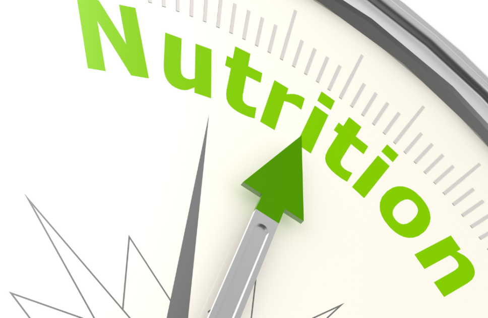 Proper Nutritional Diet and Well-being (2024)