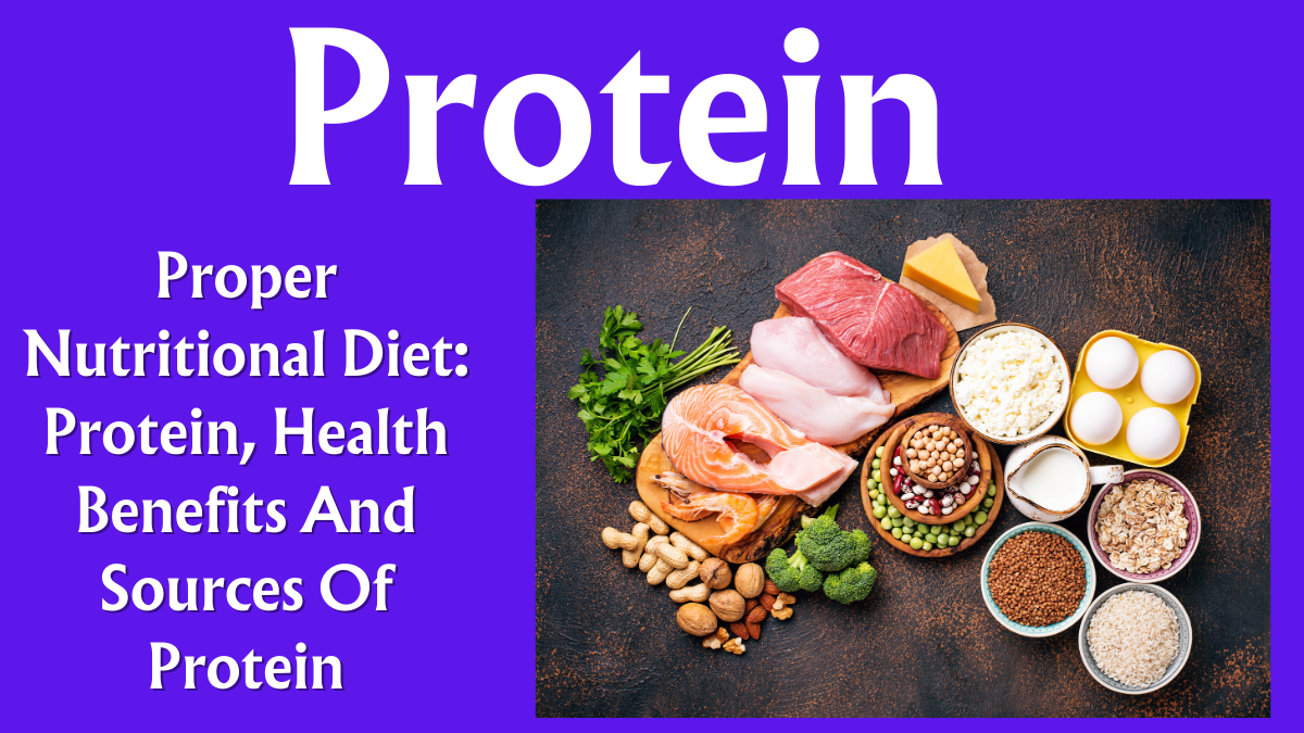 Proper Nutritional Diet: Protein, Health Benefits And Sources Of Protein (Part 8/15)