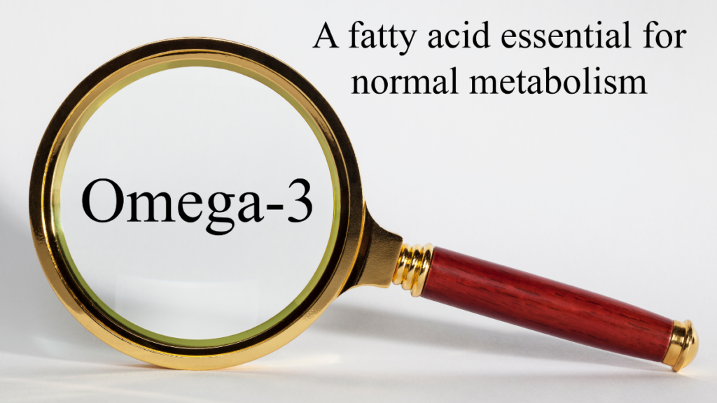Unlocking the Power of Omega 3, 6, and 9: A Comprehensive Guide to Sources and Life-Transforming Benefits (Part 1) 2 Unlocking the Power of Omega 3, 6, and 9: A Comprehensive Guide to Sources and Life-Transforming Benefits