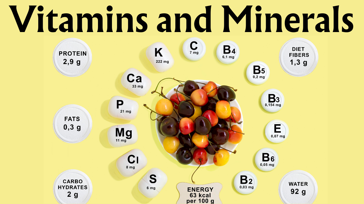 Proper Nutritional Diet, Exploring the World of Vitamins and Minerals: A Comprehensive Guide (Part 11/15)