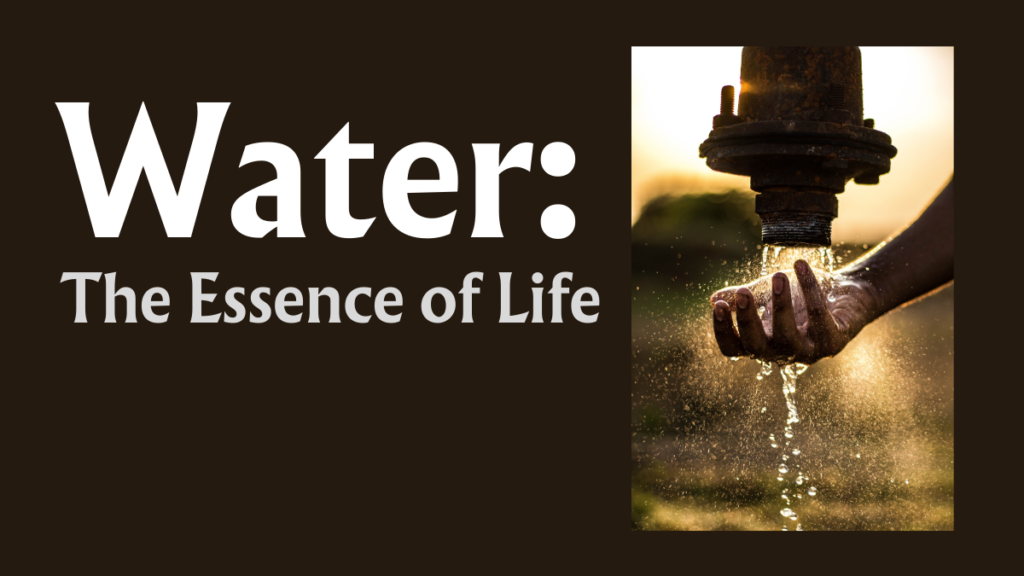 Proper Nutritional Diet, Unveiling the Complete Guide to Water: The Essence of Life (Part 12/15)