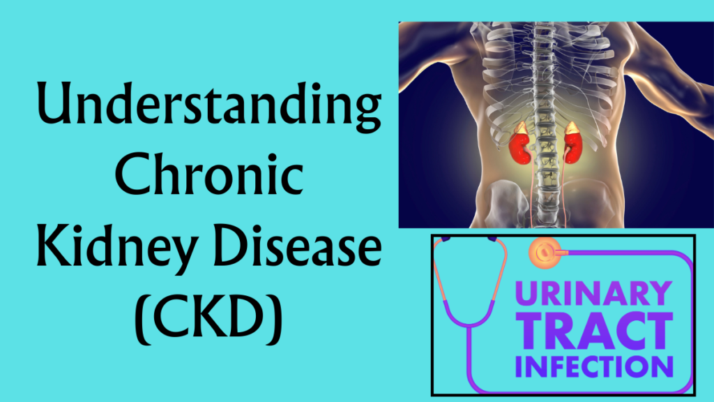 Understanding Chronic Kidney Disease (CKD)